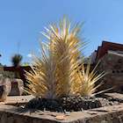 Taliesin West gallery item thumbnail 10